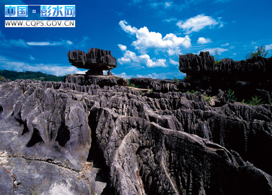 彭水要闻-中国·彭水网