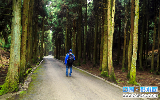 摩围春光美如画-社会-中国·彭水网
