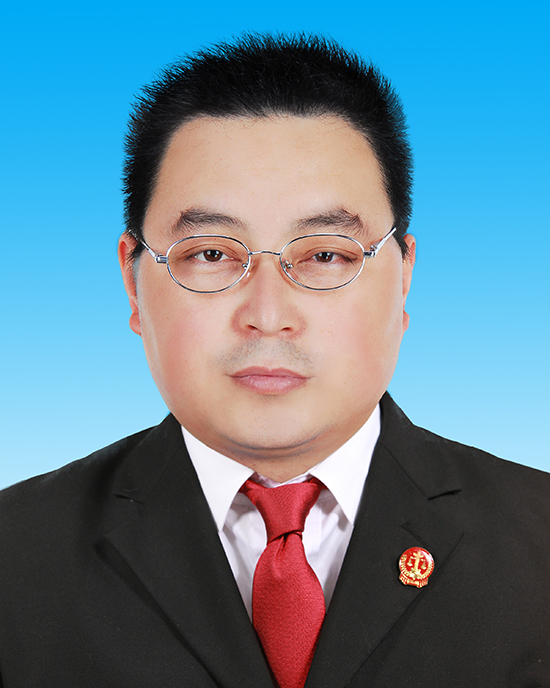 县人民法院院长简历