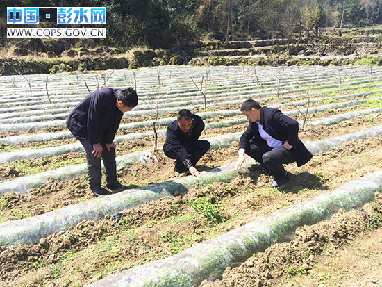热柘镇人口_热柘中心小学老师照片(2)
