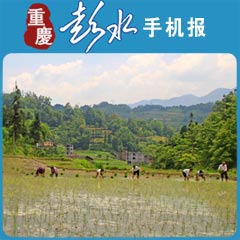 彭水县保家镇人口多少_彭水县保家镇自来水厂工程1 9