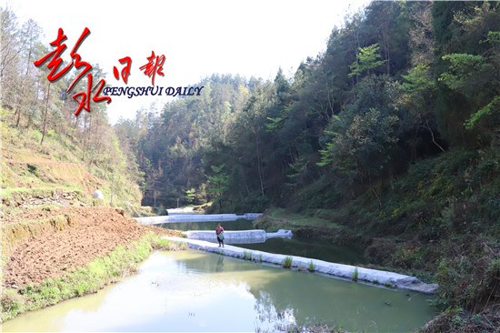 桐木镇有多少人口_①桐木镇又一公路升级改造项目开工了② 突发 今早九点半(3)