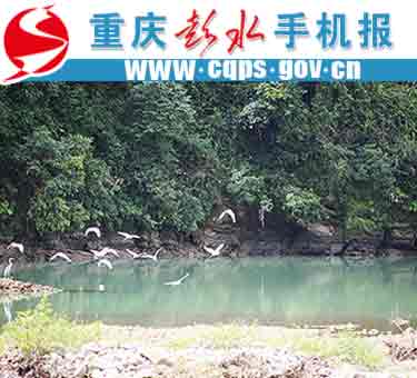彭水县保家镇人口多少_彭水县保家镇自来水厂工程1 9(2)
