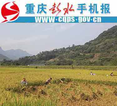 彭水县保家镇人口多少_彭水县保家镇自来水厂工程1 9(2)